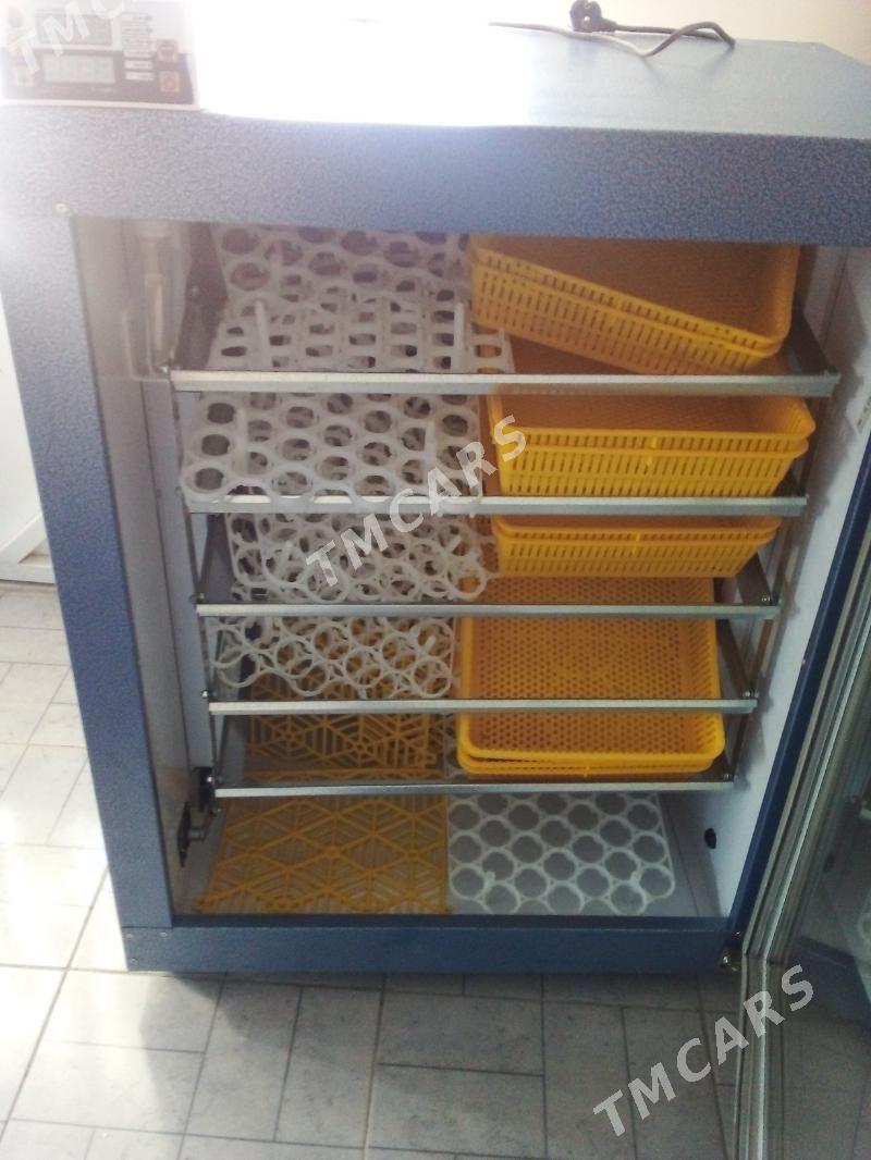 Inkubator - Büzmeýin - img 2