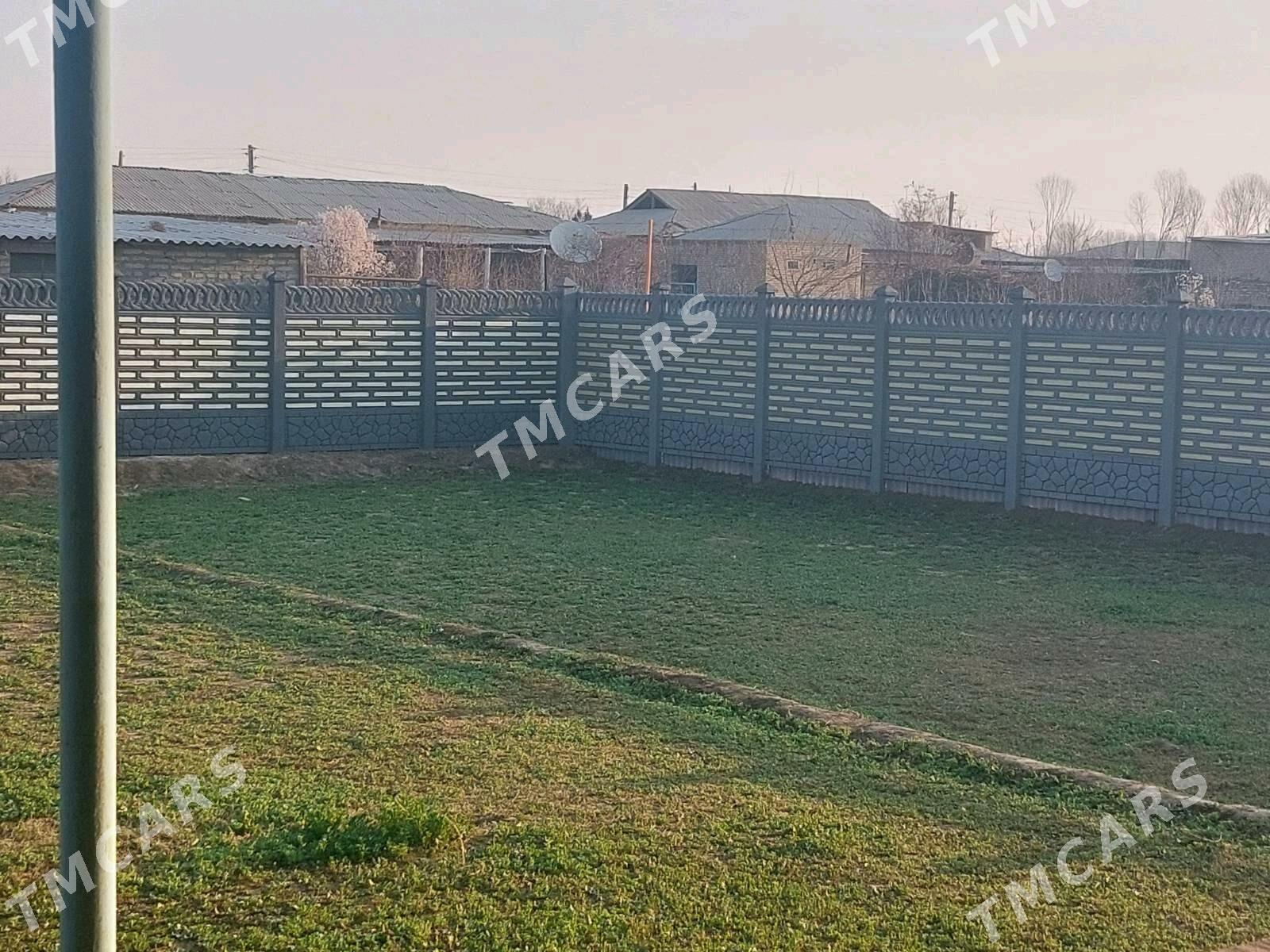 Beton Zabor (Haýat) - Türkmenabat - img 10