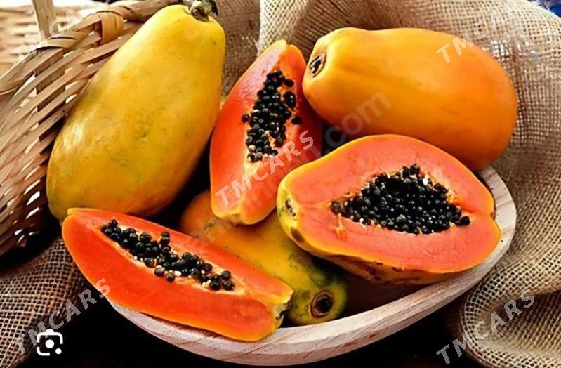 TURK NAHAL PAPAYA - Ruhabat (90-njy razýezd) - img 4