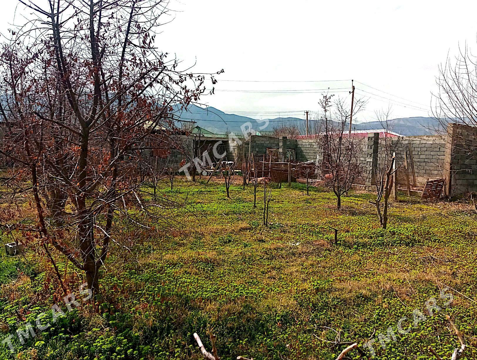 Меллек жай - Bagyr - img 7