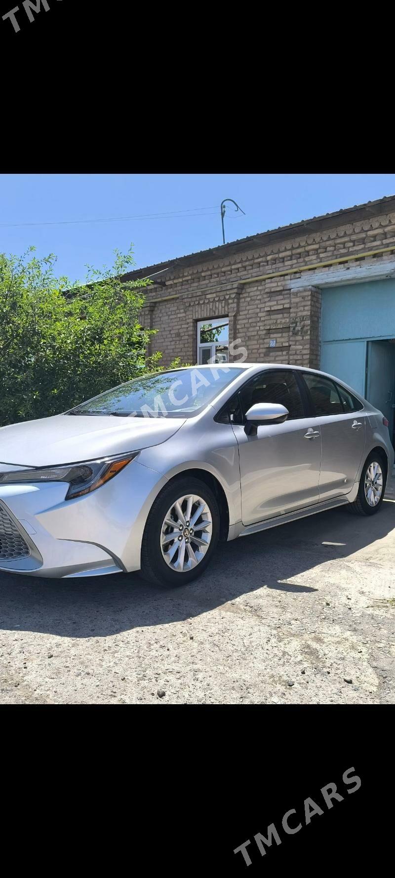Toyota Corolla 2021 - 240 000 TMT - Türkmenabat - img 1