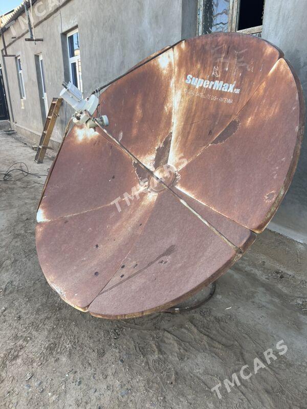 antena - Sakarçäge - img 2