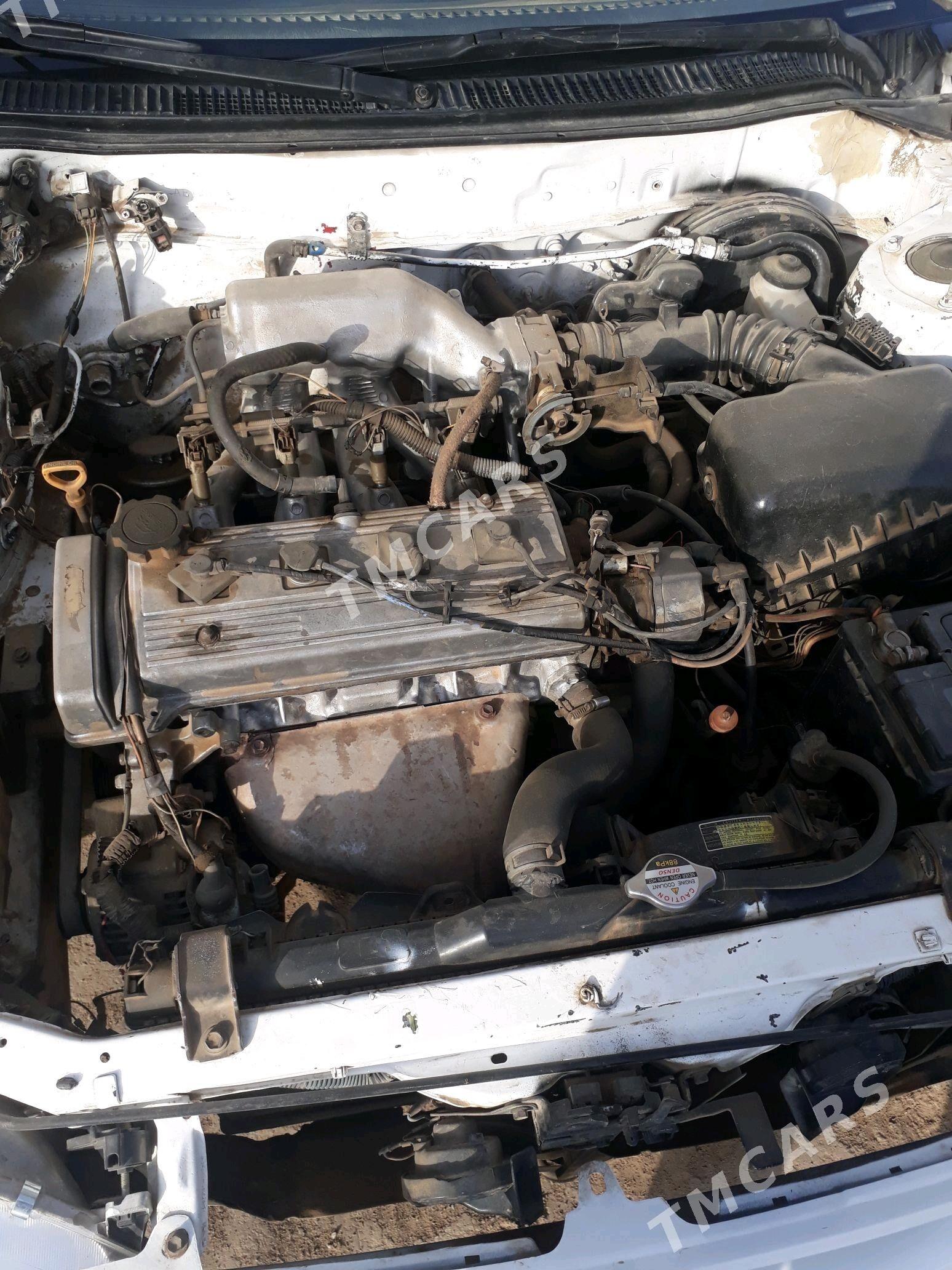Toyota Corolla 1999 - 50 000 TMT - Sakarçäge - img 3