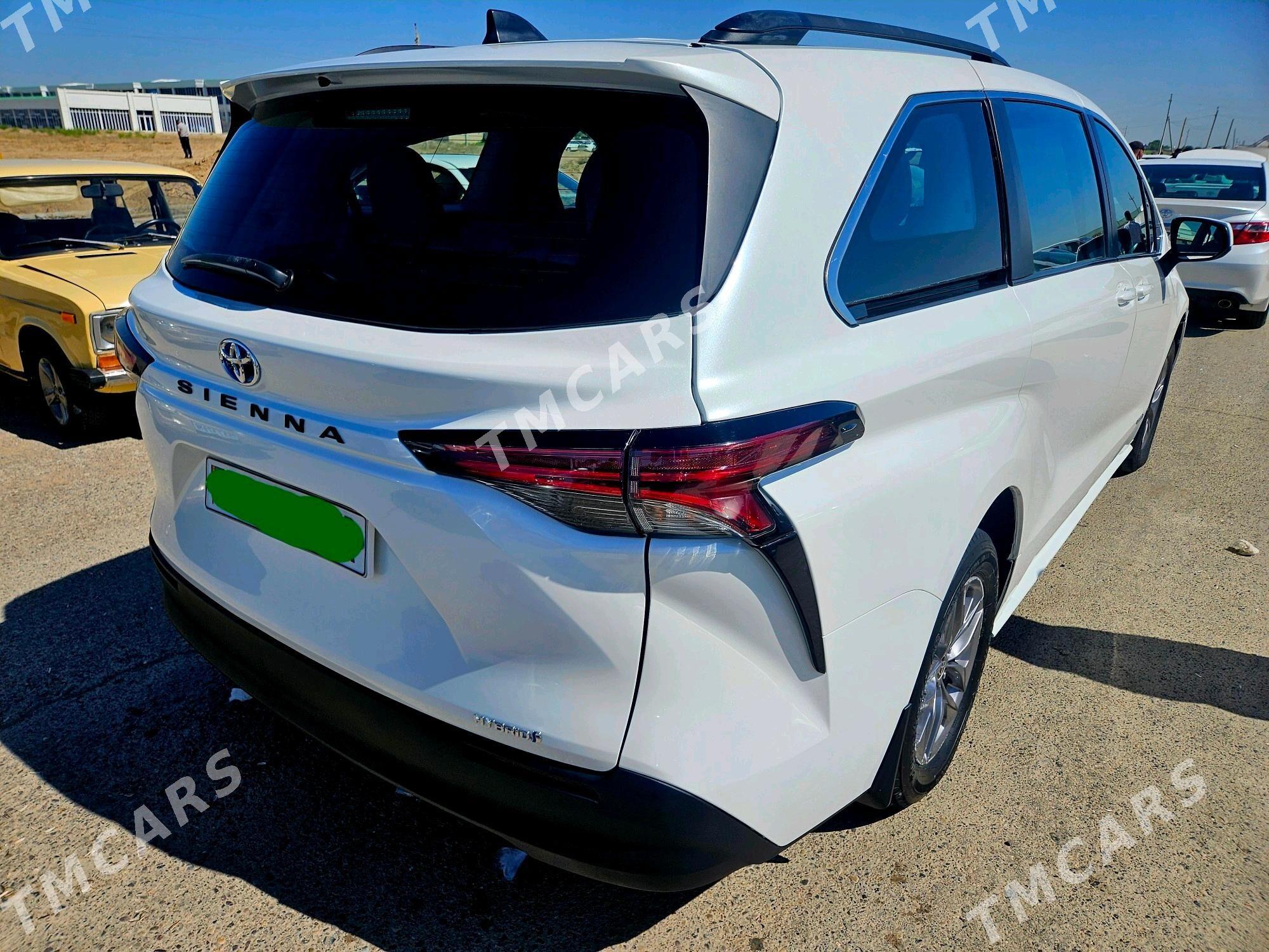 Toyota Sienna 2022 - 520 000 TMT - Mary - img 4