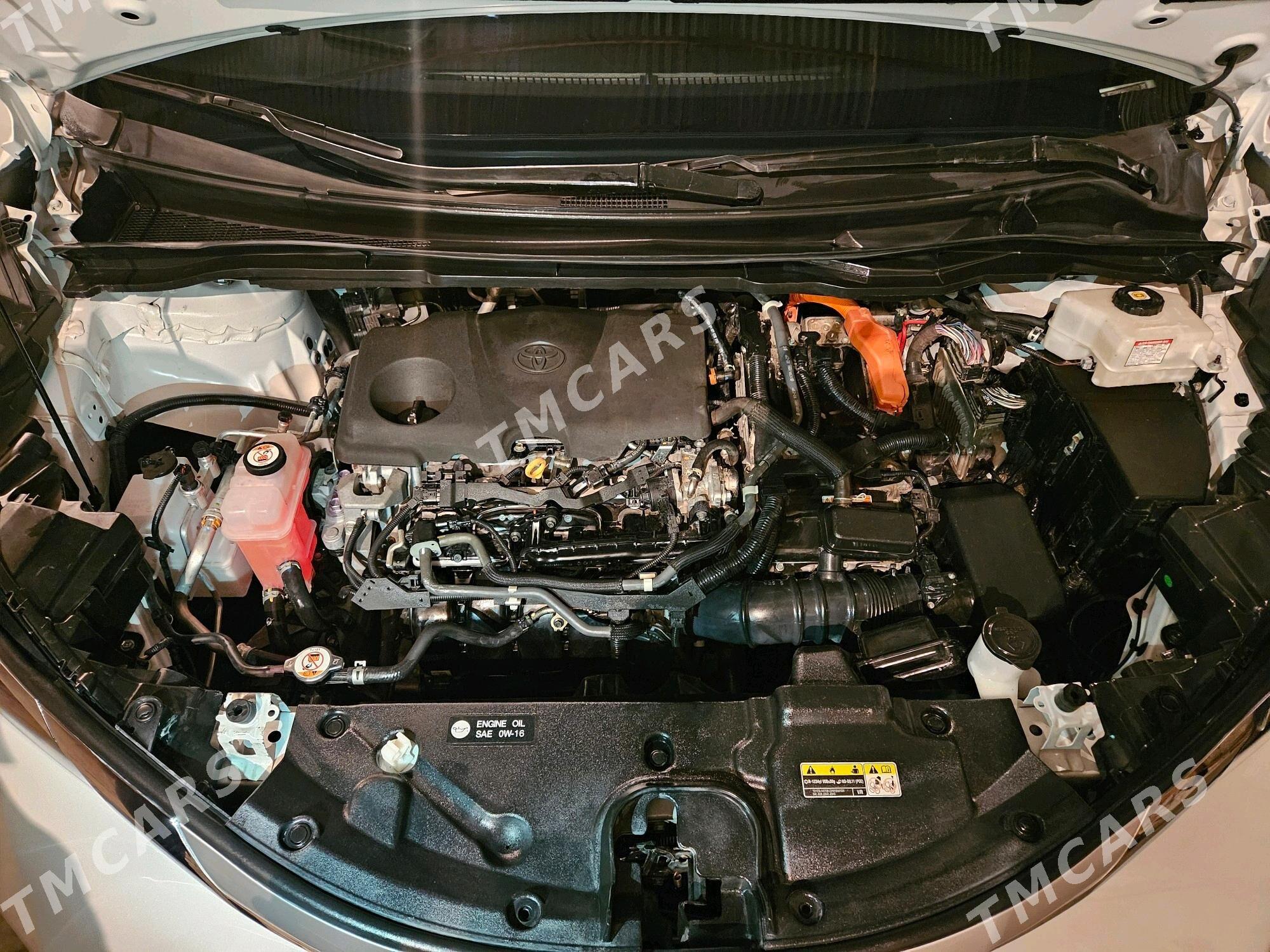 Toyota Sienna 2022 - 520 000 TMT - Mary - img 8