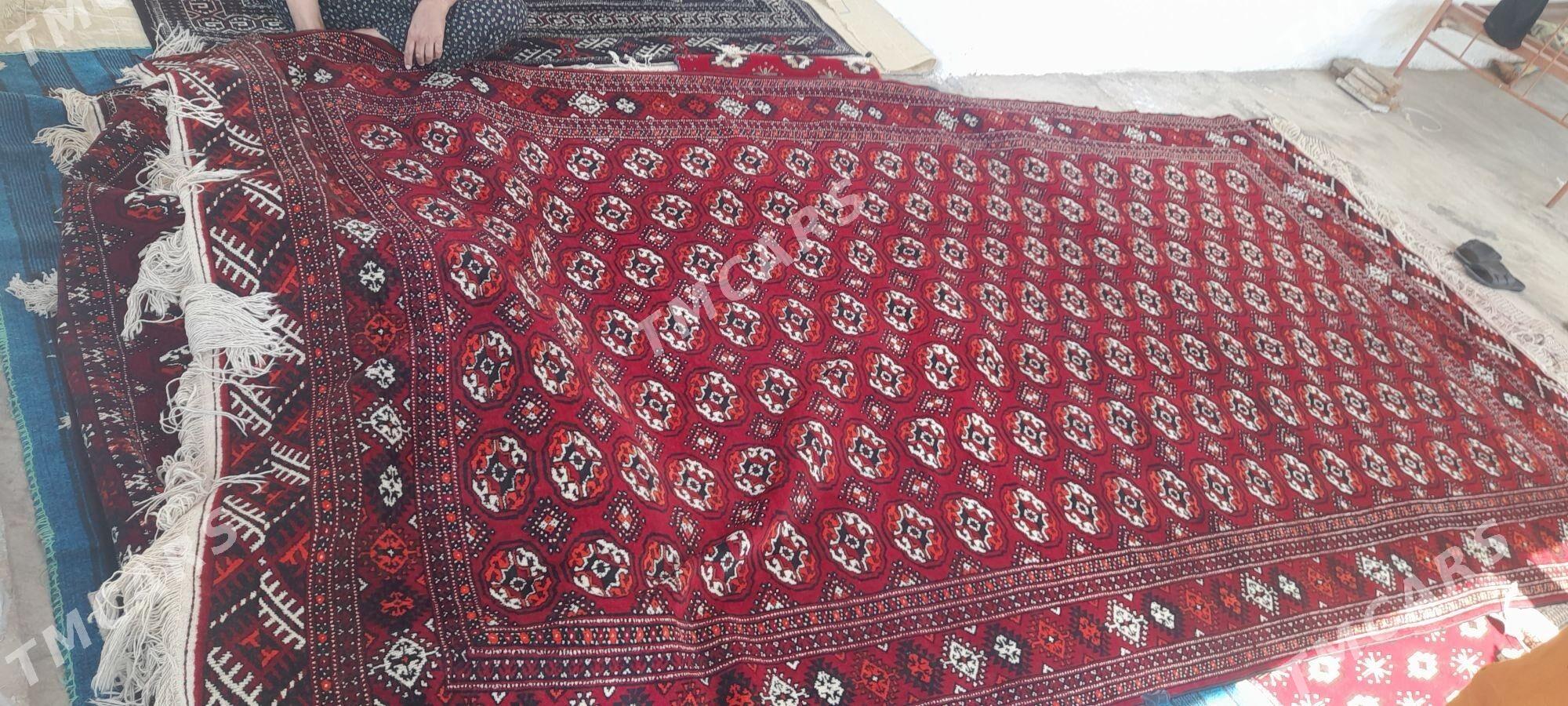 turkmen halyturkmen - Esenguly - img 4