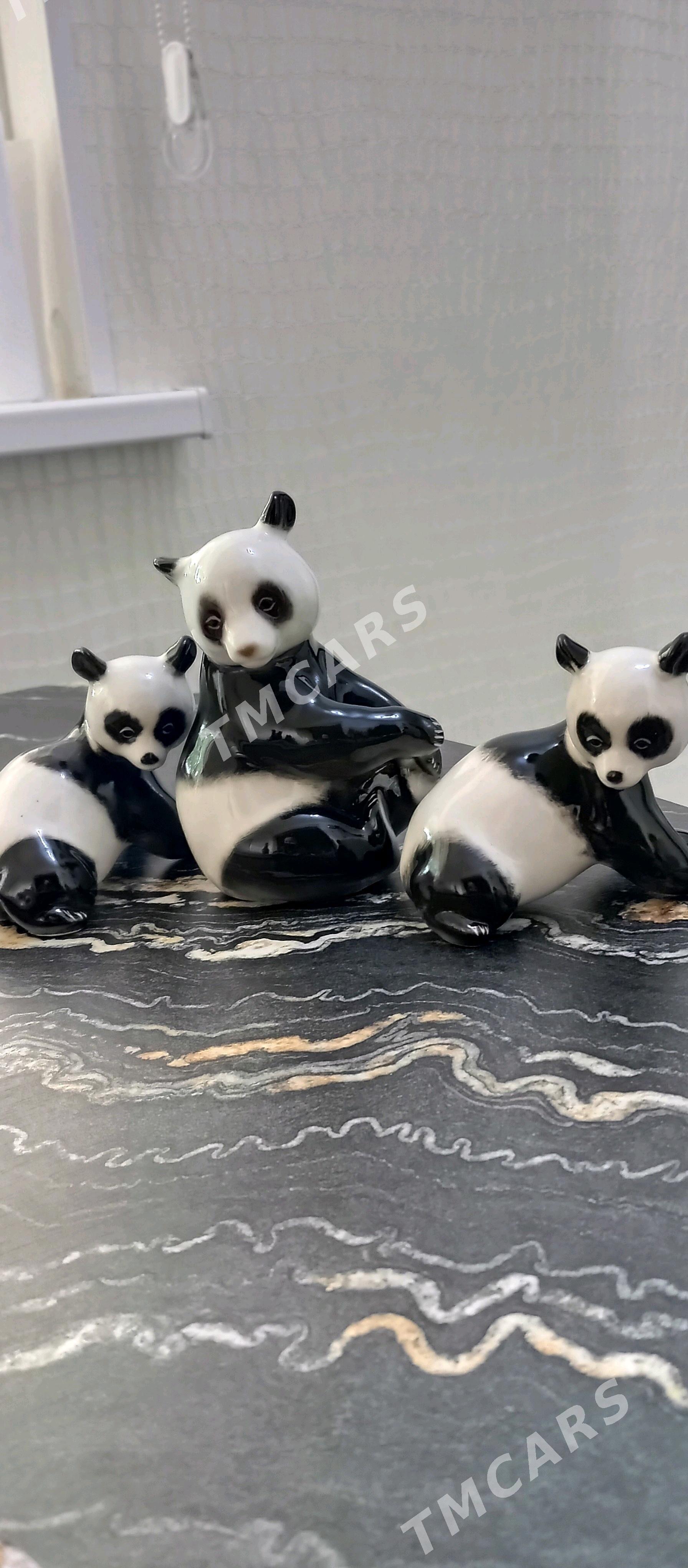 PANDA/ПАНДА - Balkanabat - img 3