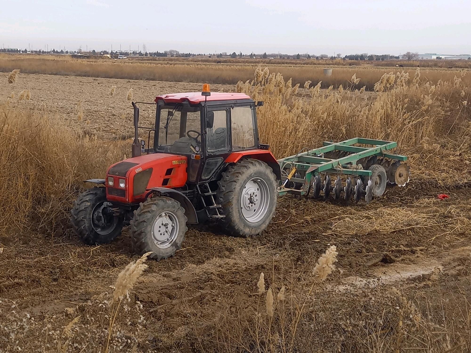 disgawoy barana 70 000 TMT - Ашхабад - img 2