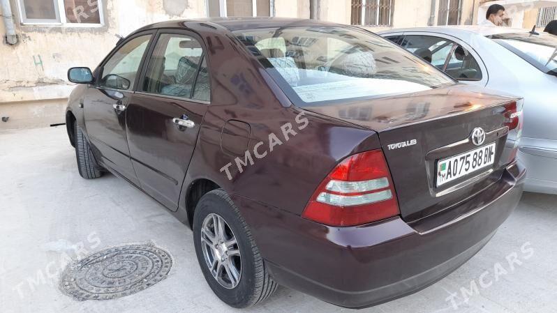 Toyota Corolla 2003 - 82 000 TMT - Балканабат - img 2