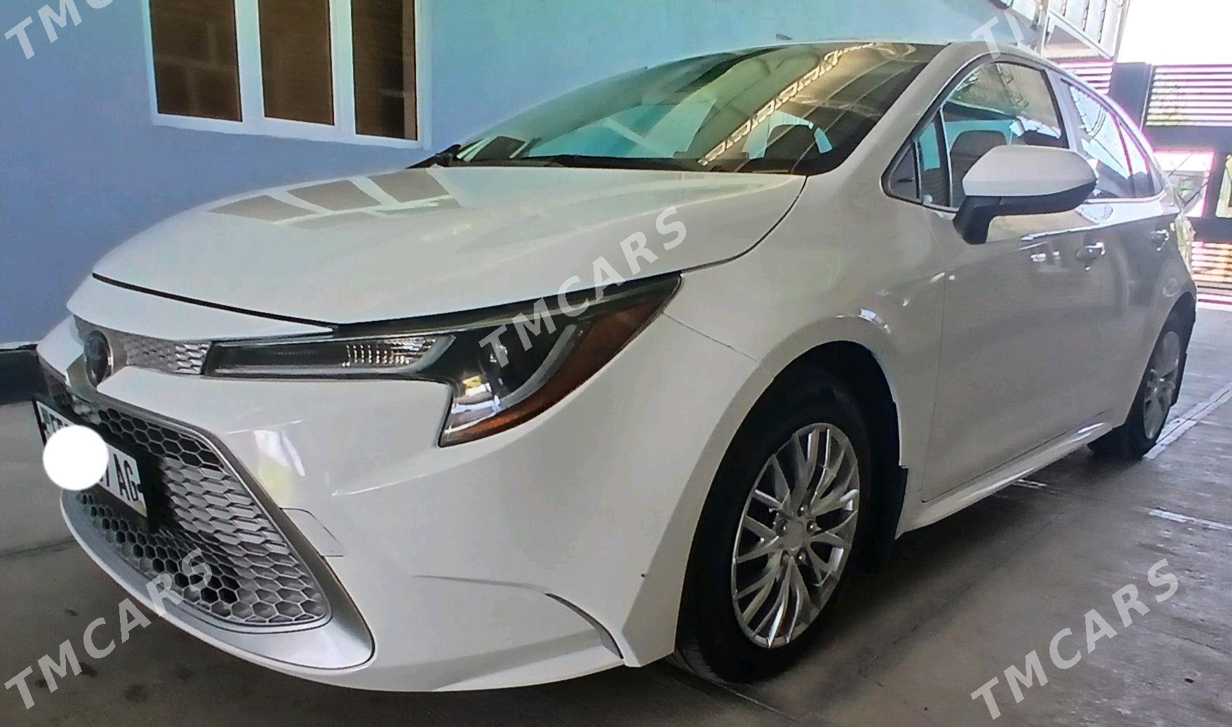 Toyota Corolla 2021 - 240 000 TMT - Aşgabat - img 2