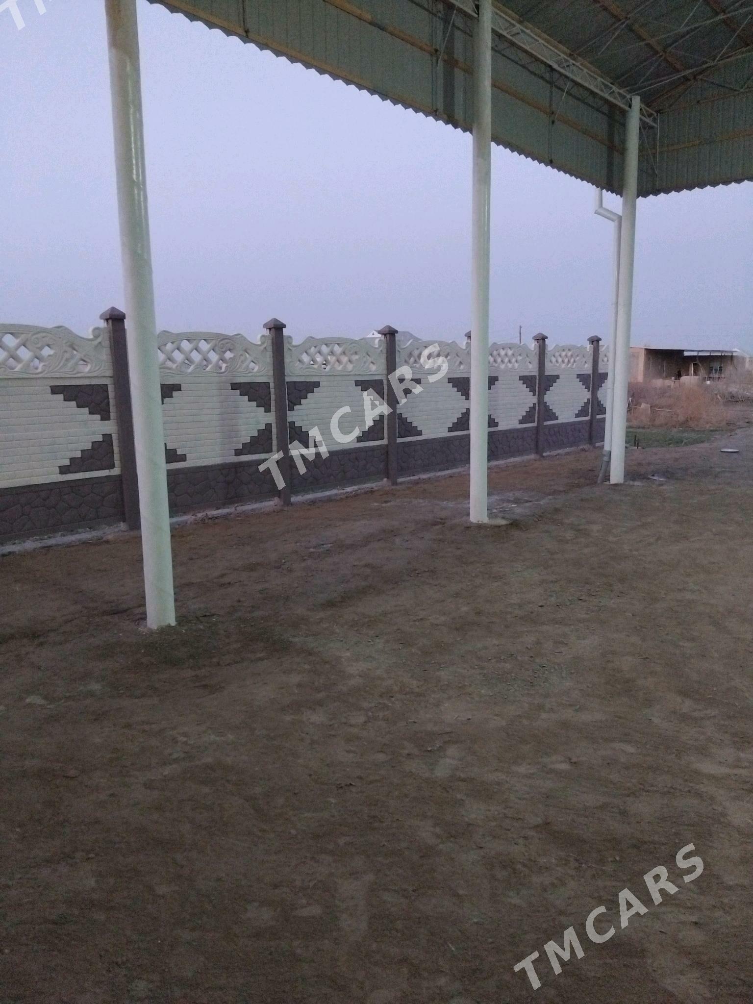 Beton Zabor (Haýat) - Шабатский этрап - img 3