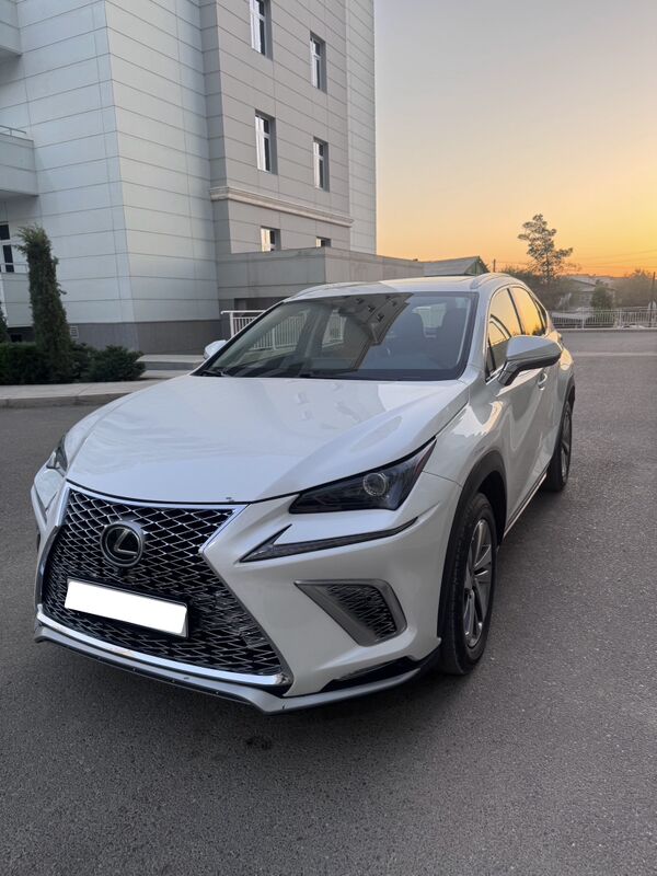 Lexus NX 300 2021 - 465 000 TMT - Ашхабад - img 9