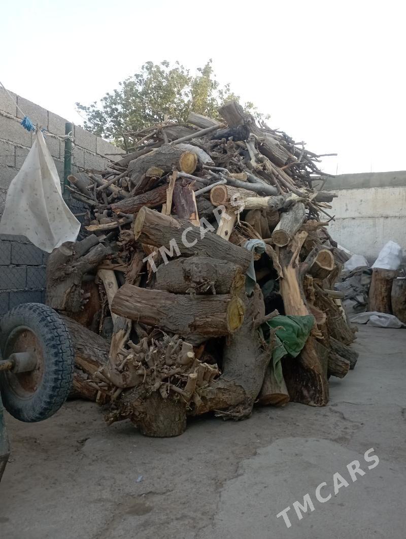 Odun - Aşgabat - img 2