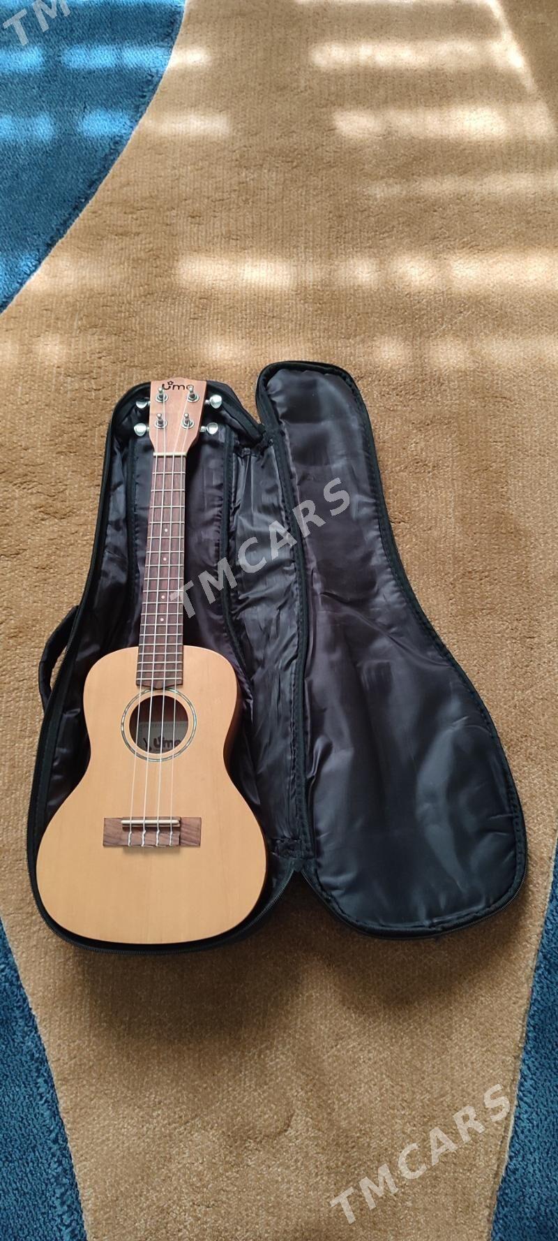 Gitara - Murgap - img 2