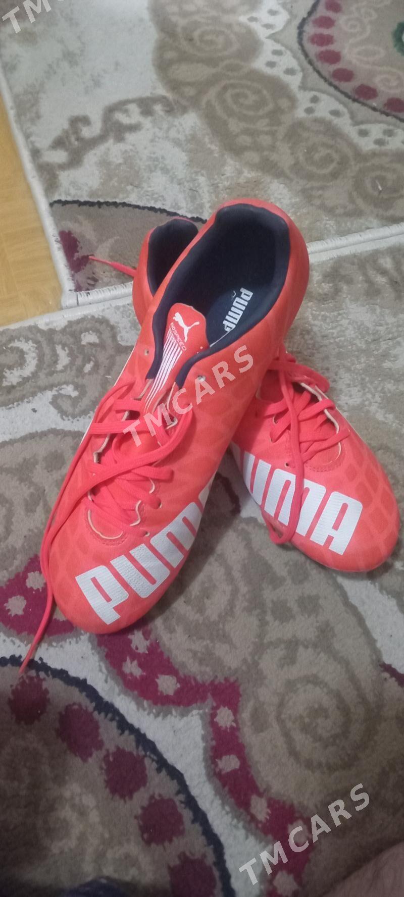 Puma butsy - Мары - img 2
