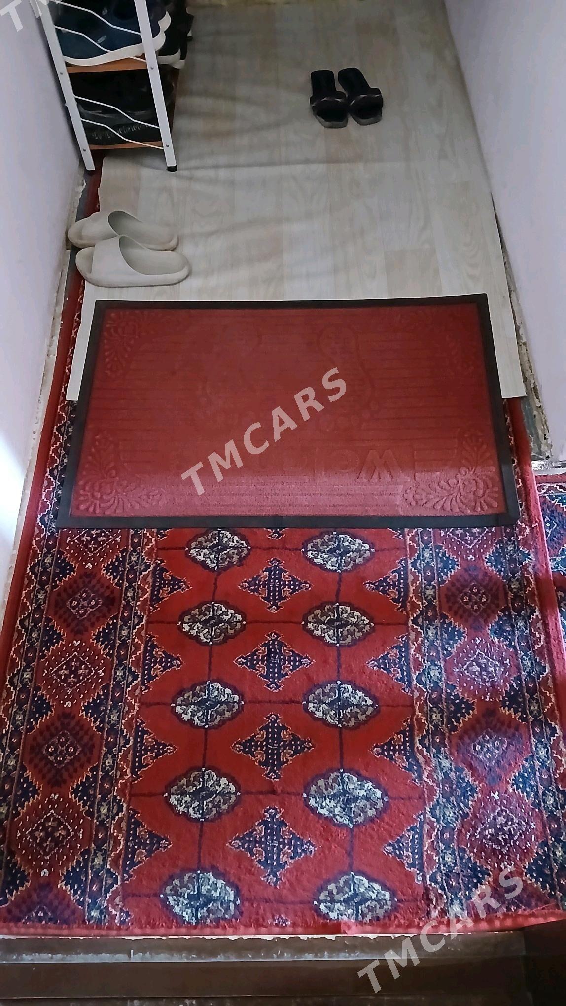 Haly - Daşoguz - img 2