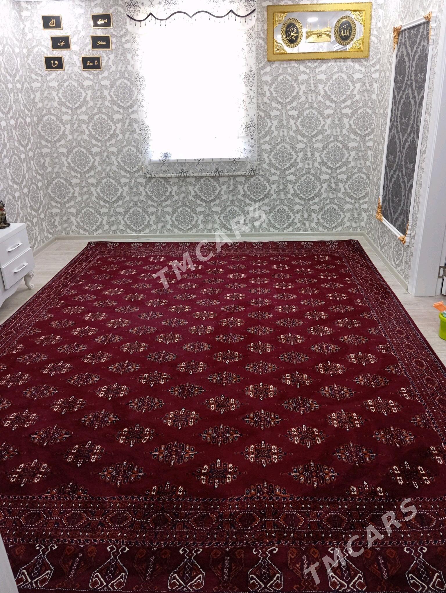 Haly - Балканабат - img 2