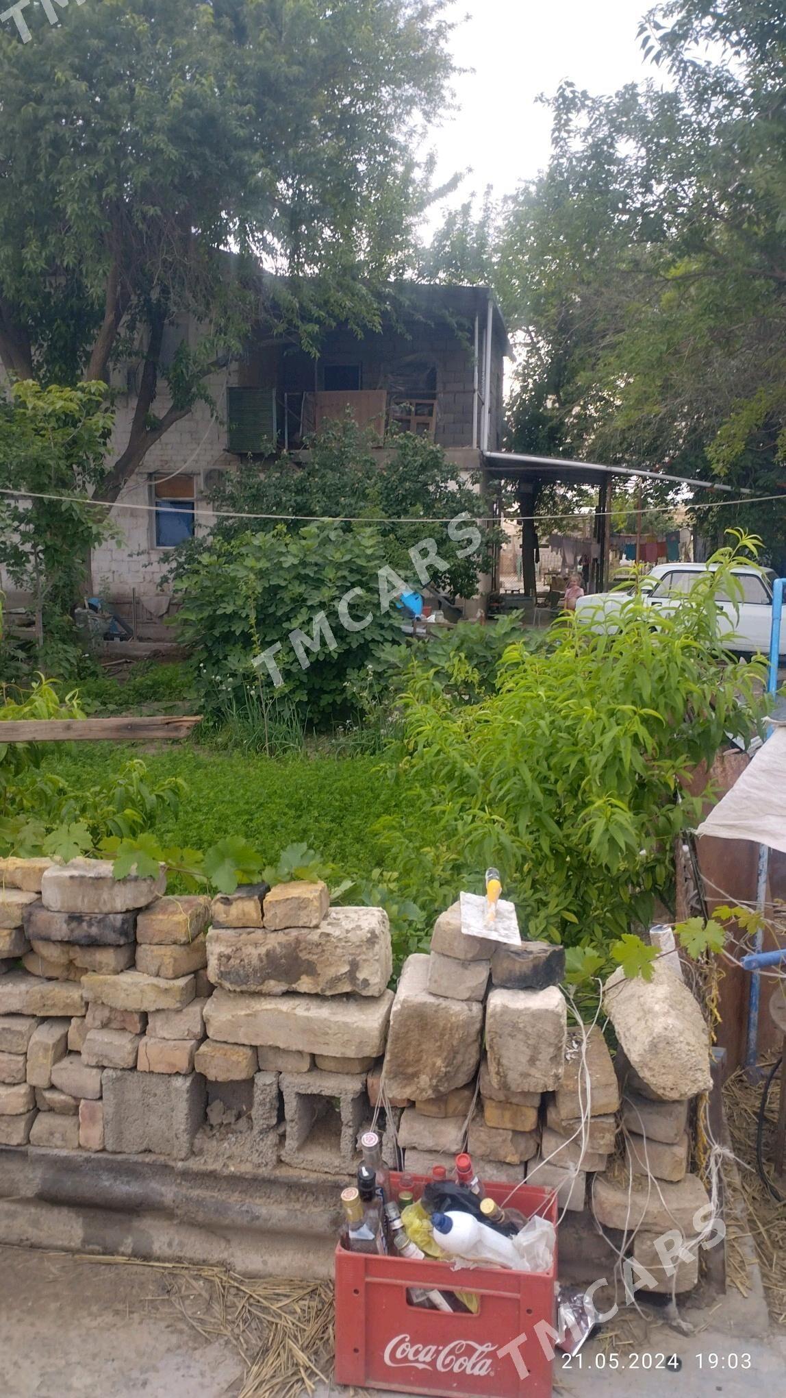 Duşak şatlyk jaý - Kaka - img 5
