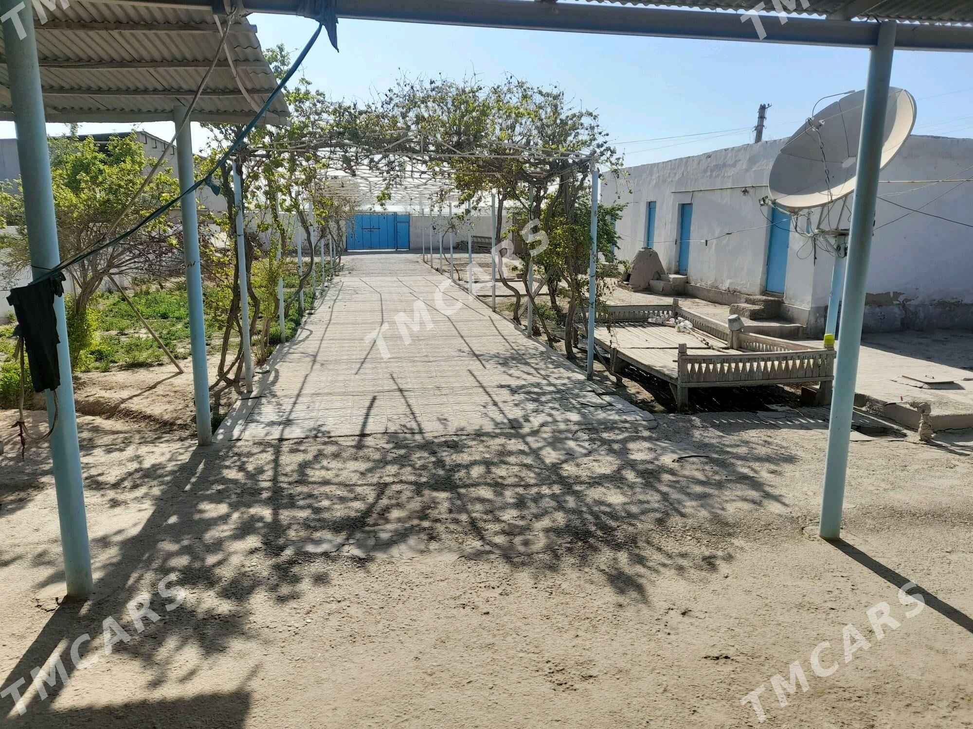 Plan jay - Tejen - img 2