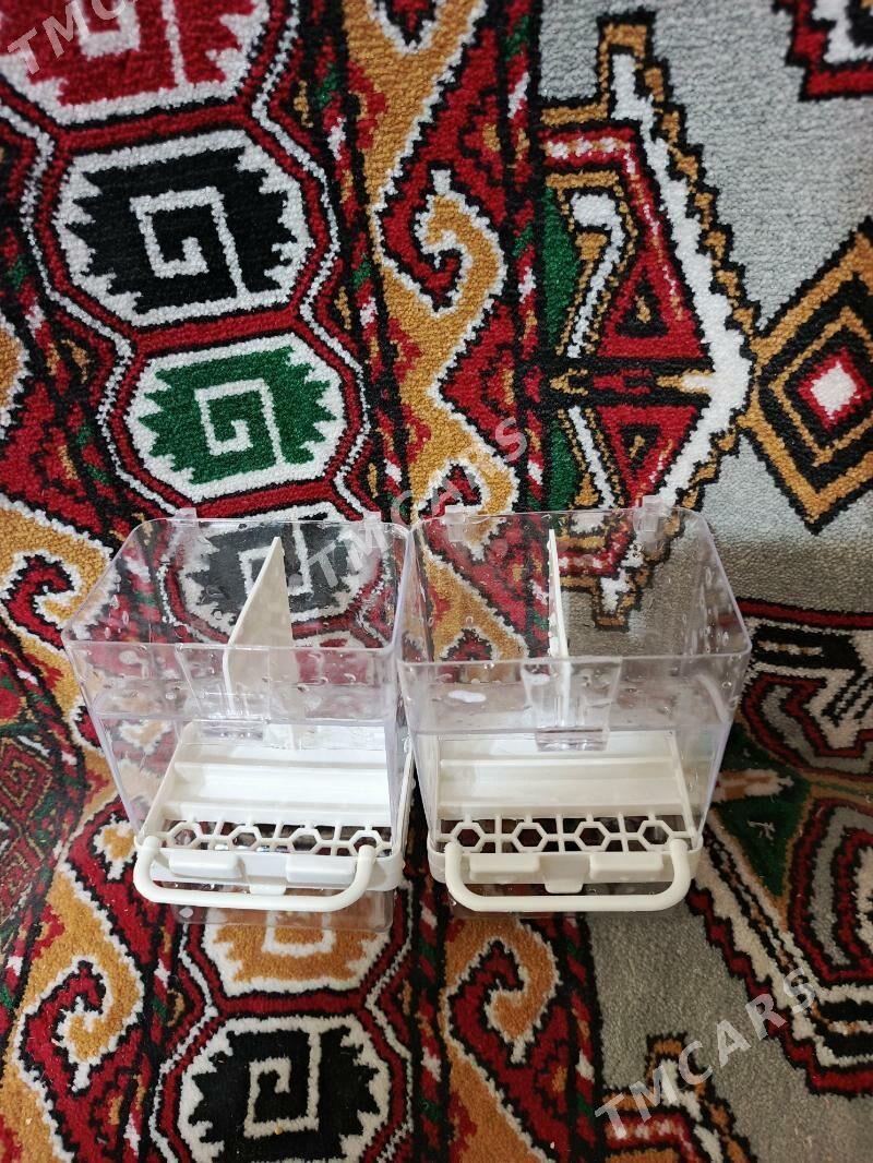 Aftokarmuşka - Aşgabat - img 3