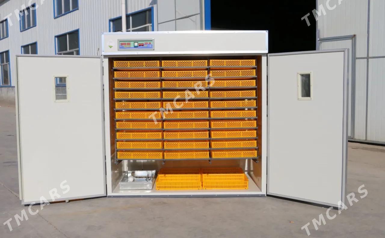 5280 Yumurtgalyk inkubator - Мары - img 2