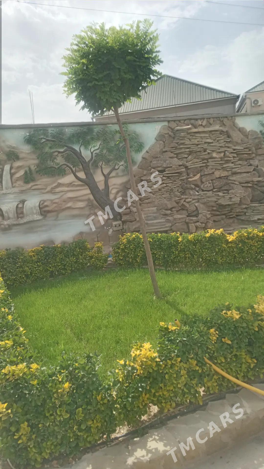 Çoganli 6 sotok kotejj - Aşgabat - img 3