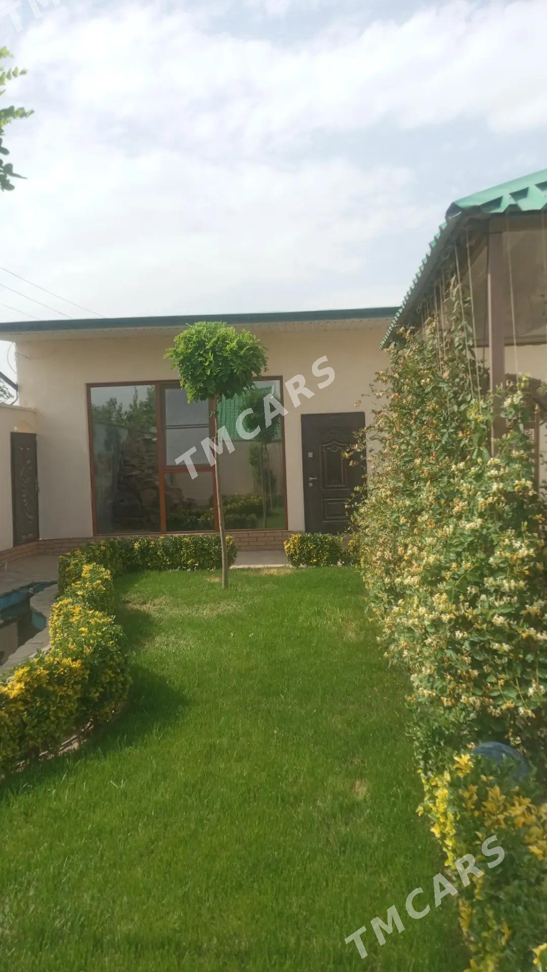 Çoganli 6 sotok kotejj - Aşgabat - img 2