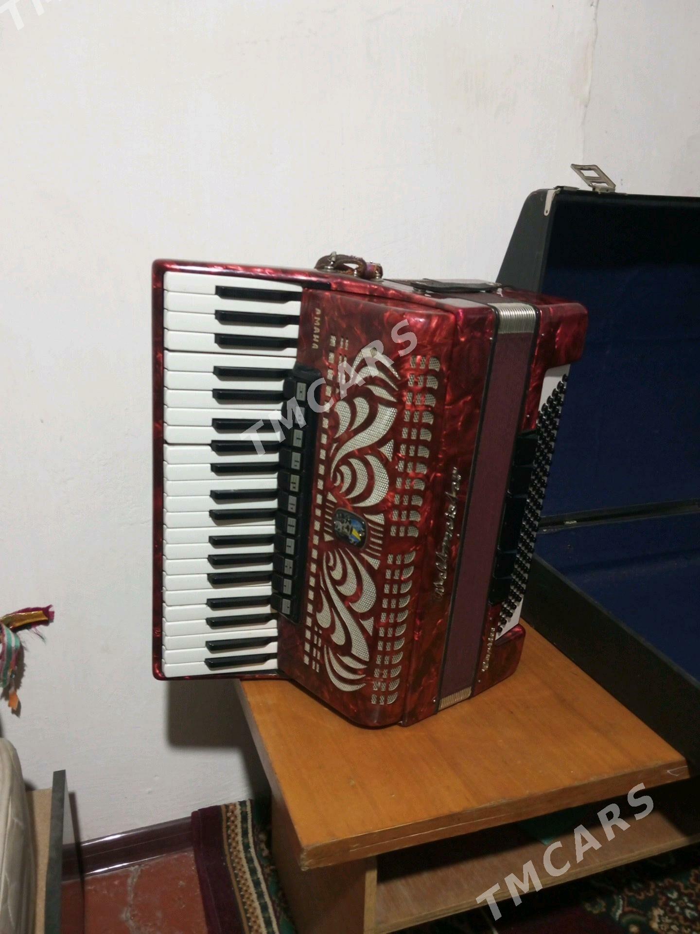 akardiyon kapriço - Çärjew - img 2