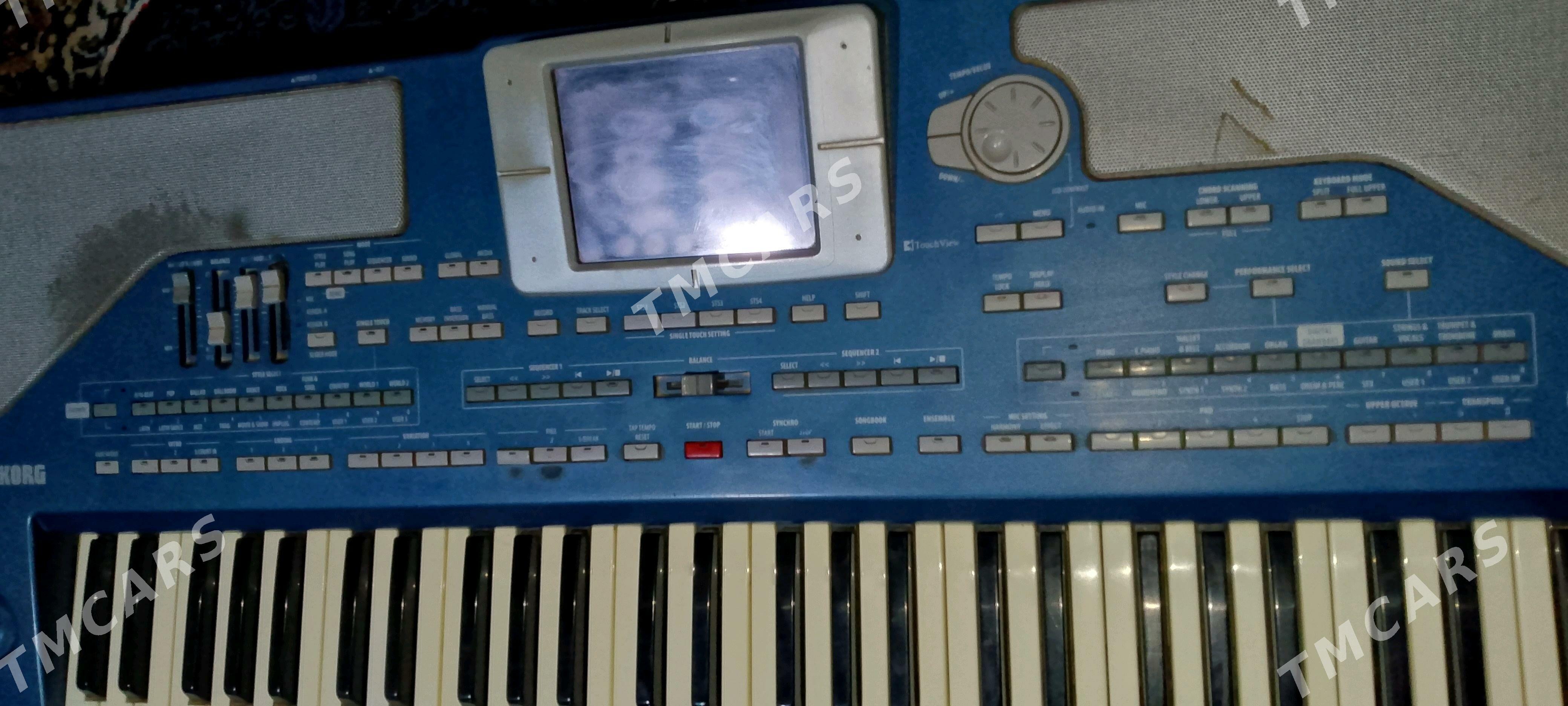 KORG PA800 - Акдепе - img 3