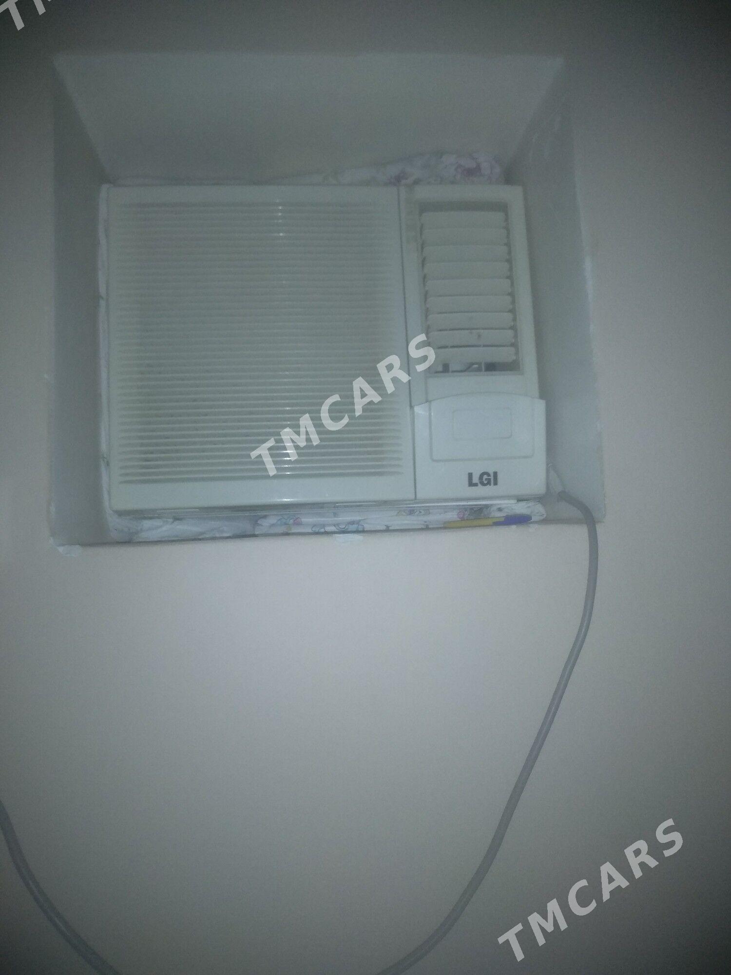 LGI - Bagyr - img 2