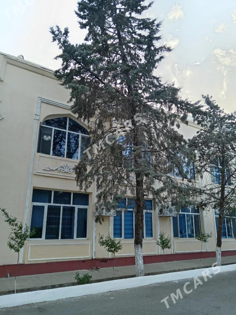 ботанический сад - Aşgabat - img 5