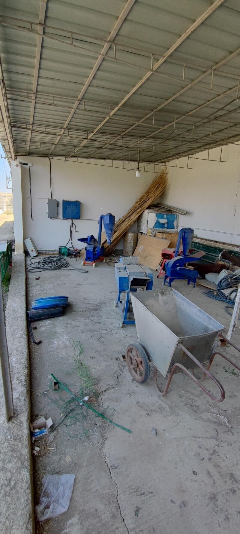 sygyr towuk juyje ferma ферма - Aşgabat - img 4