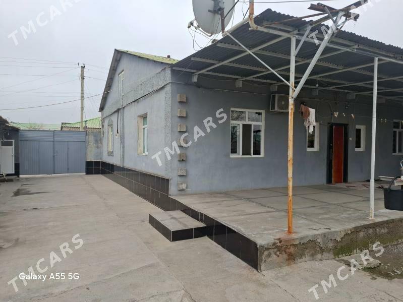 Çoganly garadamak aralykda - Чоганлы - img 3
