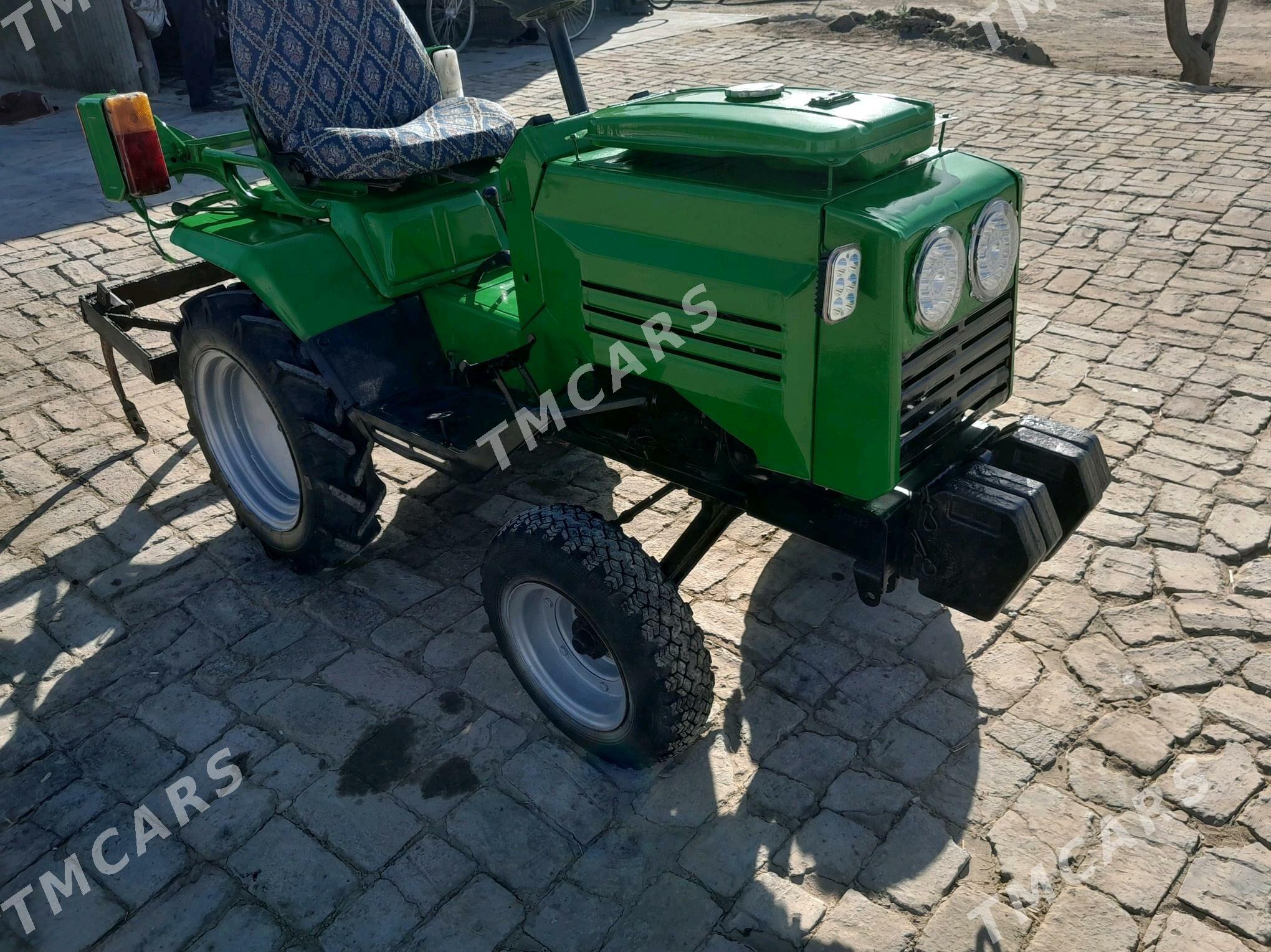Belarus 622 2025 - 26 000 TMT - Сакарчага - img 6