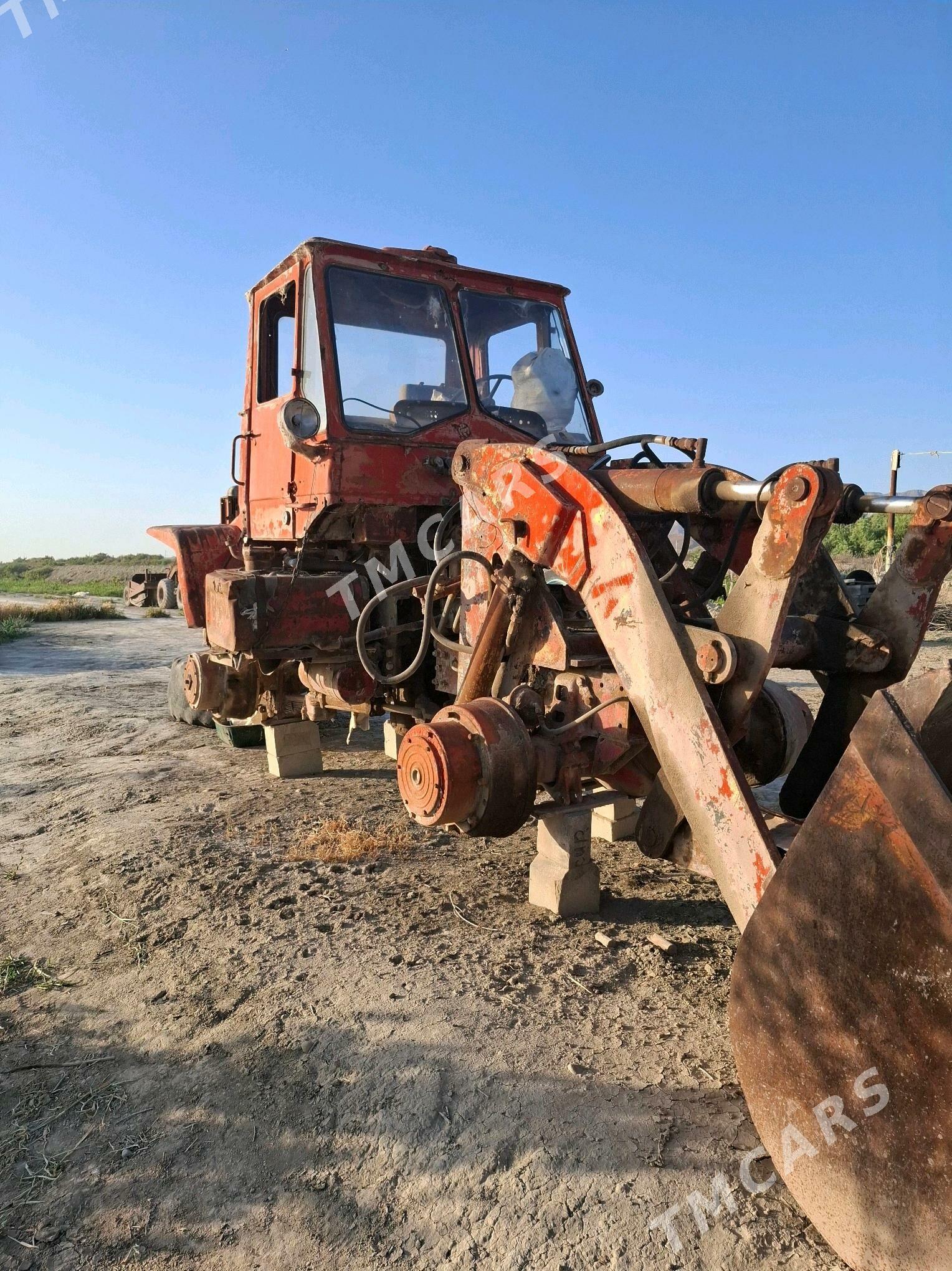Belarus 80.1 2000 - 60 000 TMT - Ak bugdaý etraby - img 2