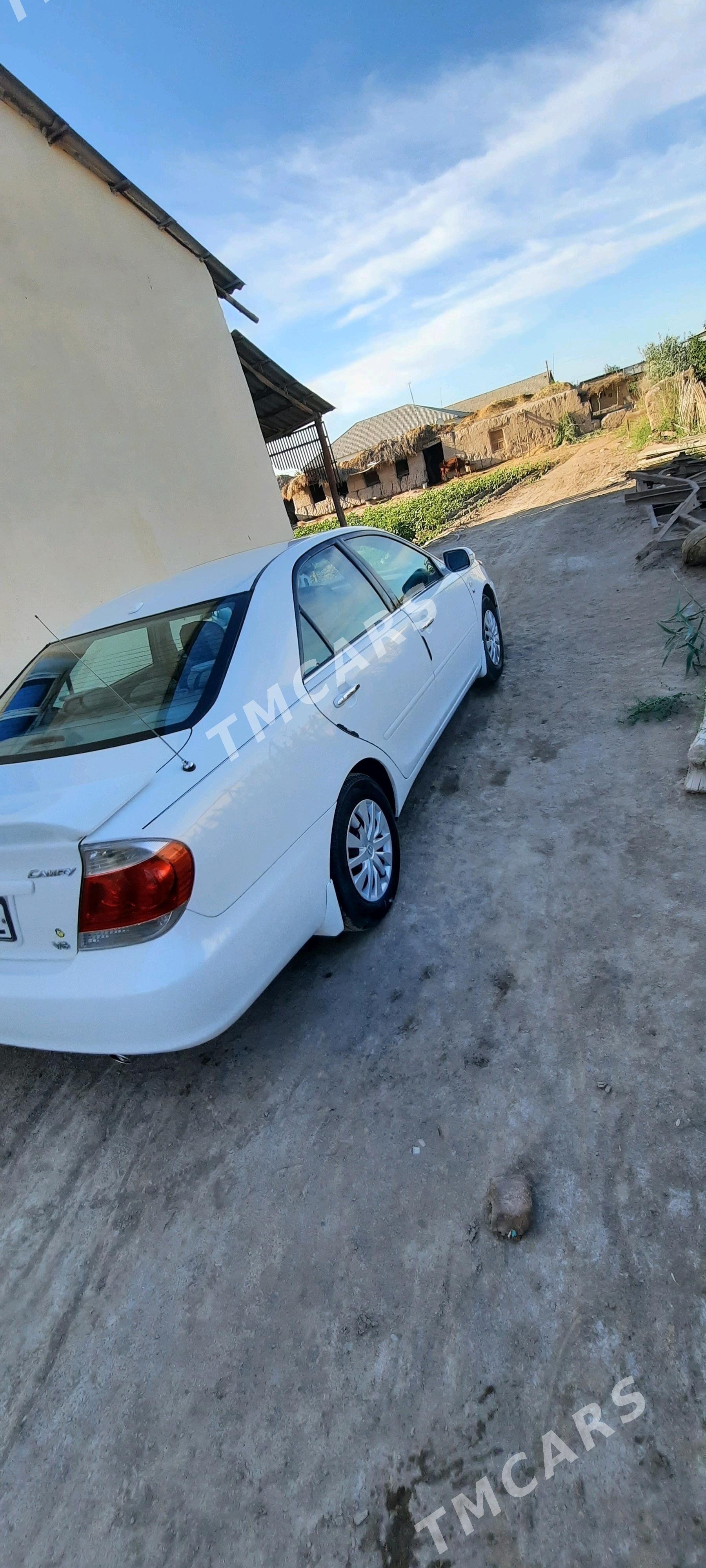 Toyota Camry 2004 - 150 000 TMT - Şabat etr. - img 4