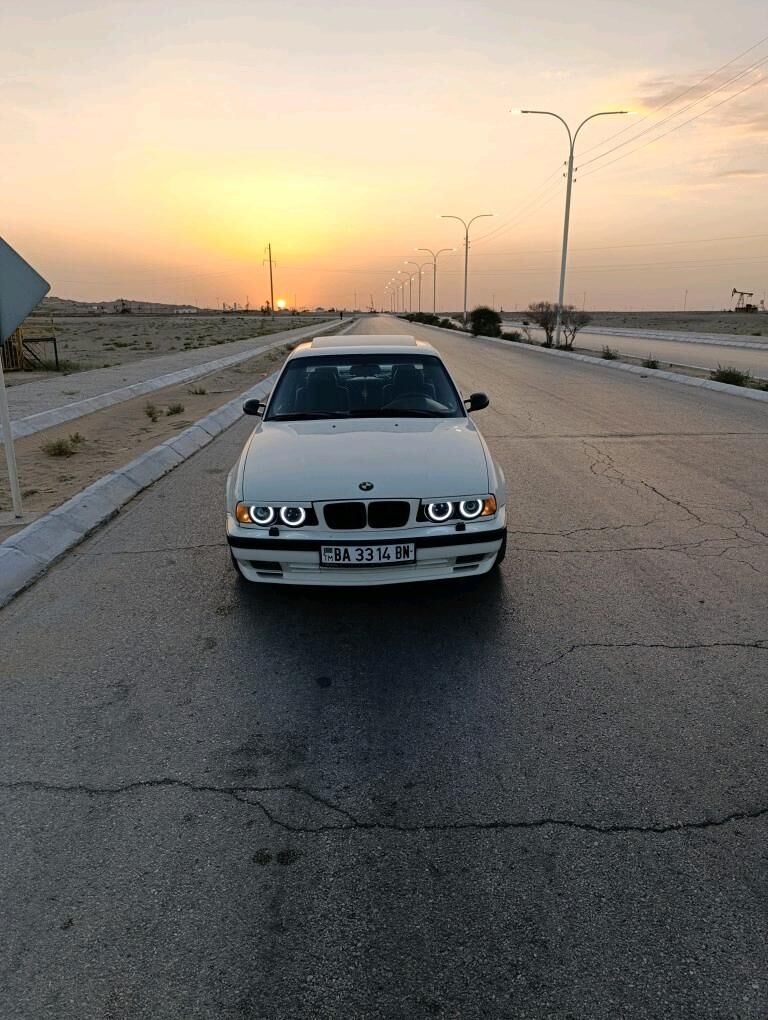 gaş 300 TMT - Гумдаг - img 3