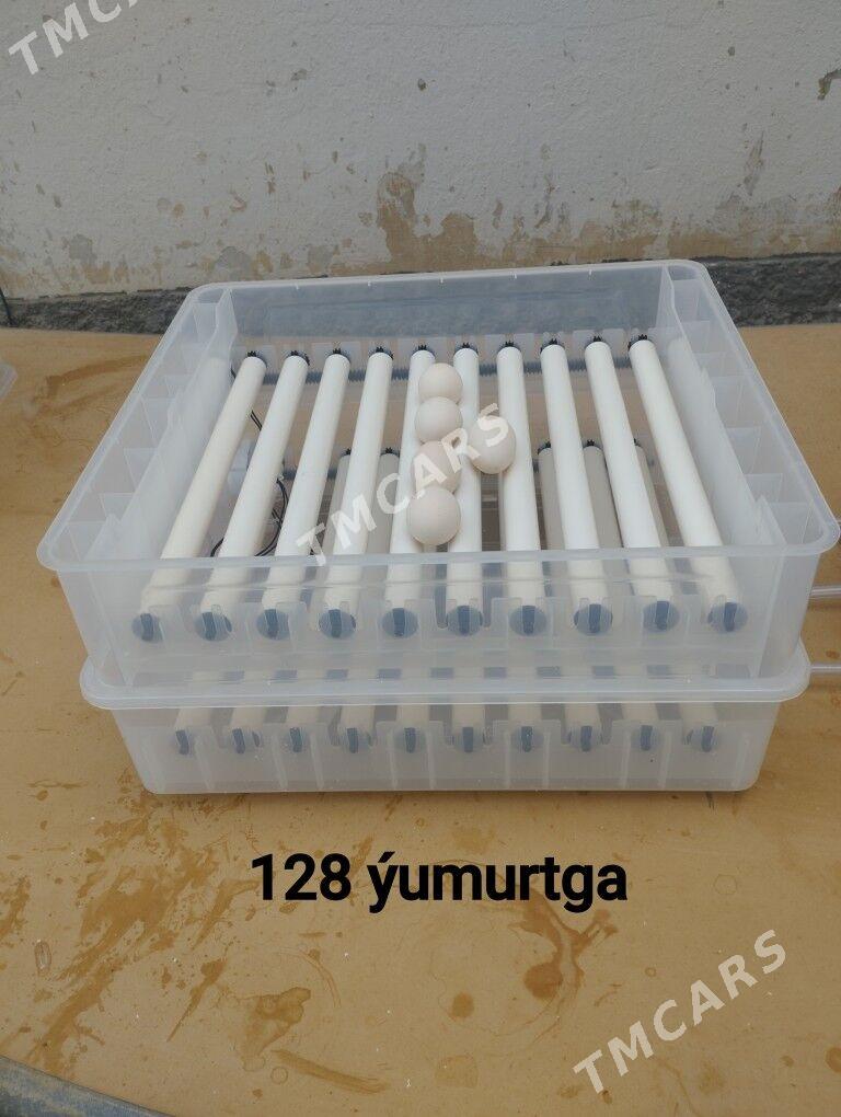 Inkubator 256 Инкубатор - Анев - img 4