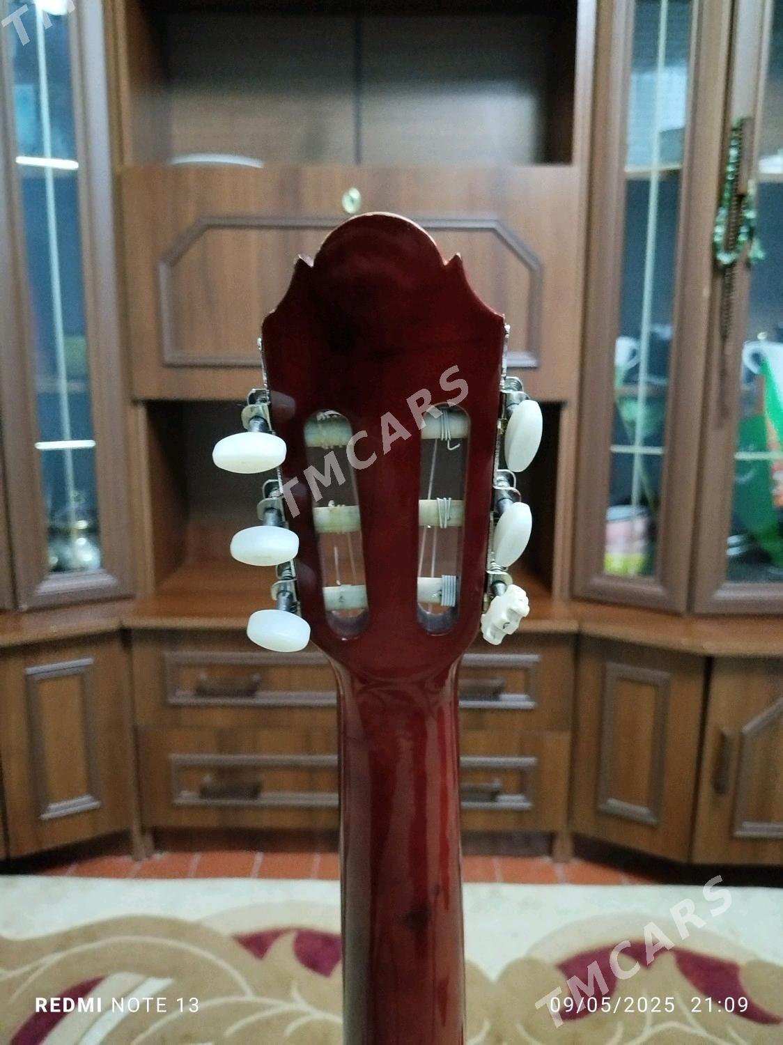 🧡Gitara🧡 - Tejen - img 4
