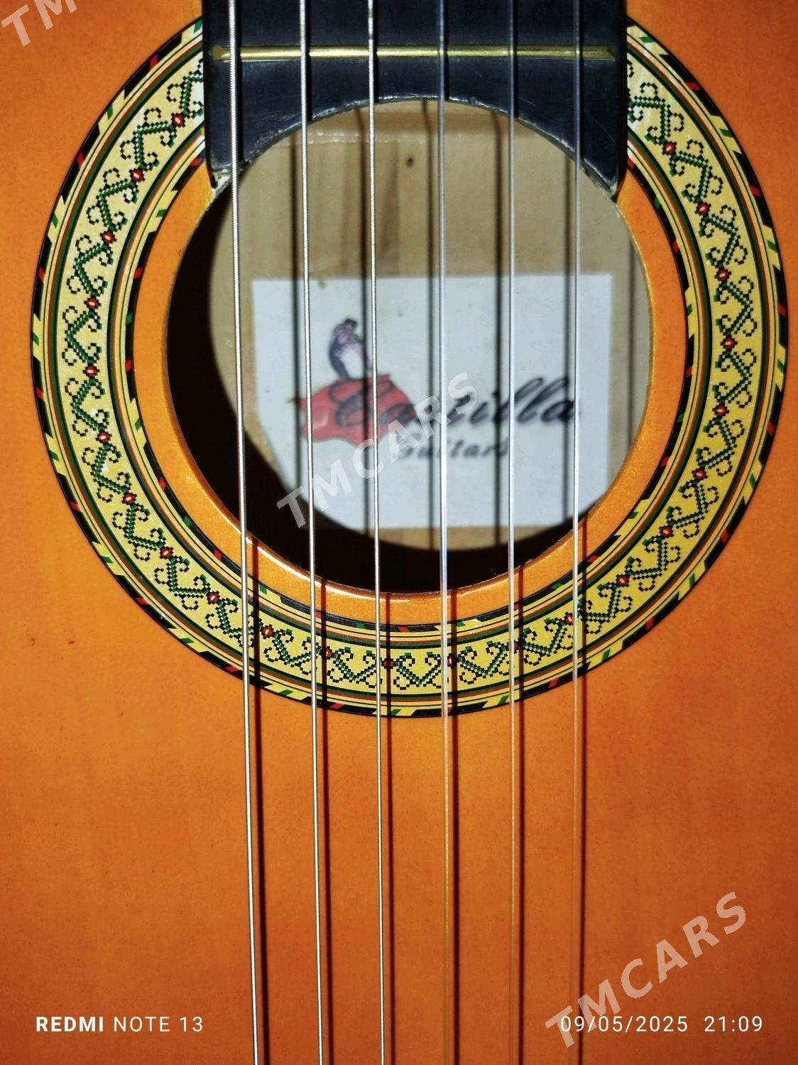 🧡Gitara🧡 - Tejen - img 5