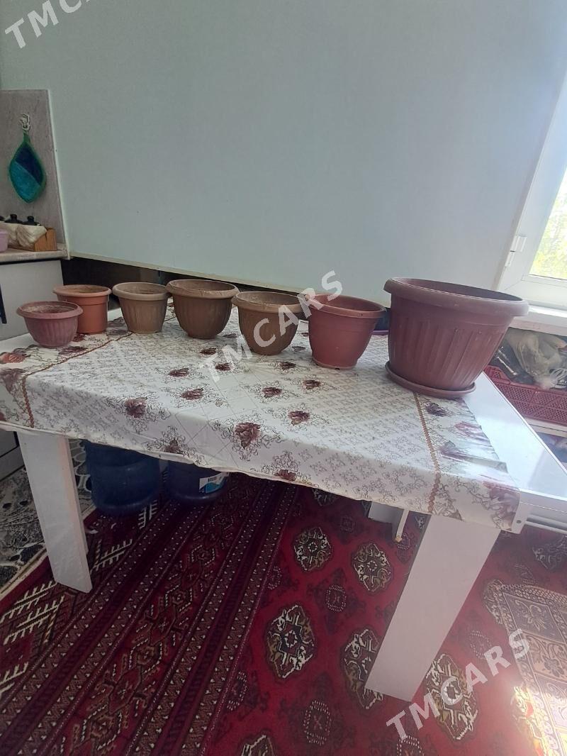 Gül. küzeler - Хитровка - img 3