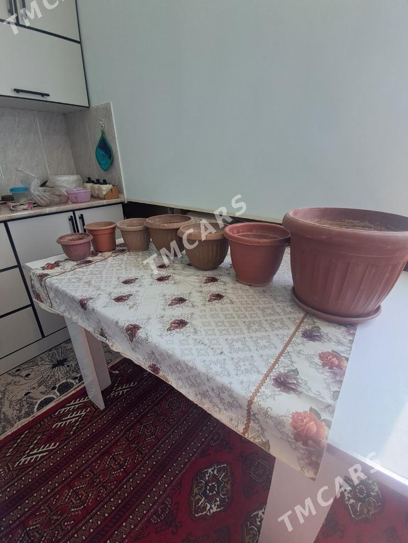 Gül. küzeler - Хитровка - img 2