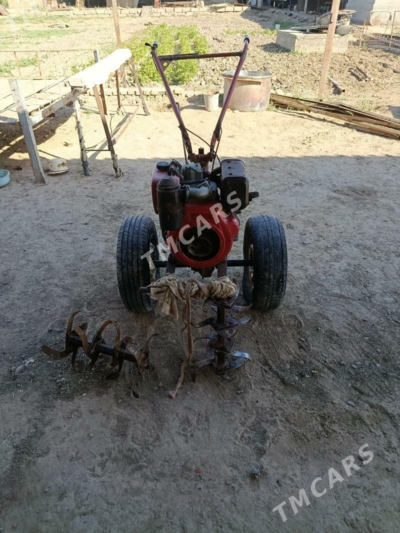 ýer agdaryan - Murgap - img 2