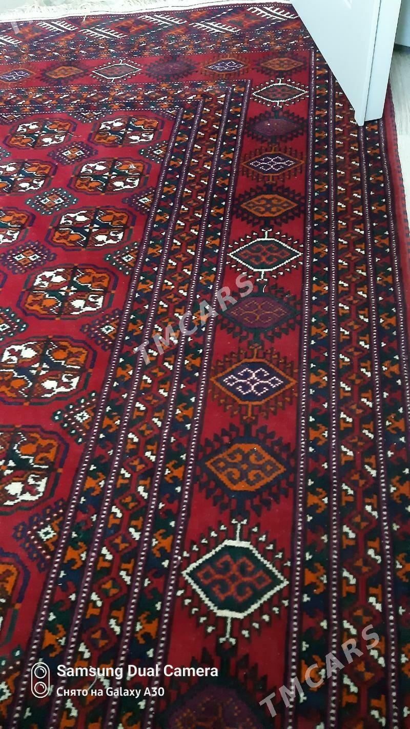 haly - Balkanabat - img 2