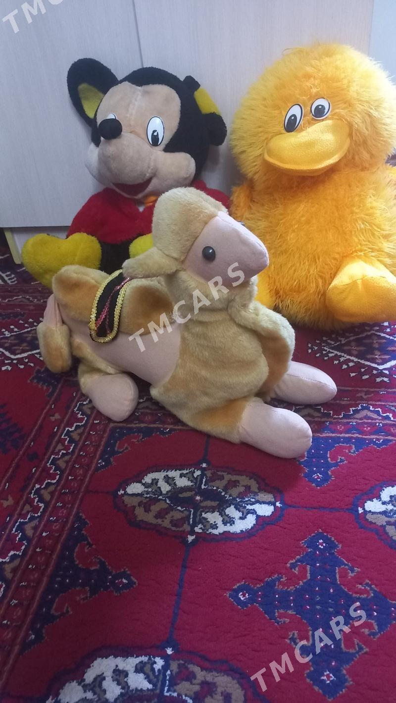 мишка - Дашогуз - img 2