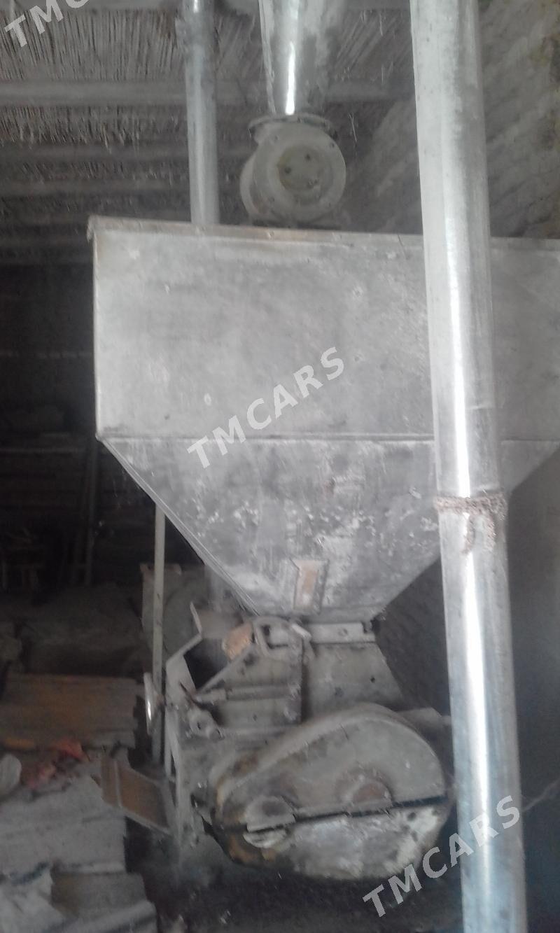 Haraz 30 lk - Murgap - img 2