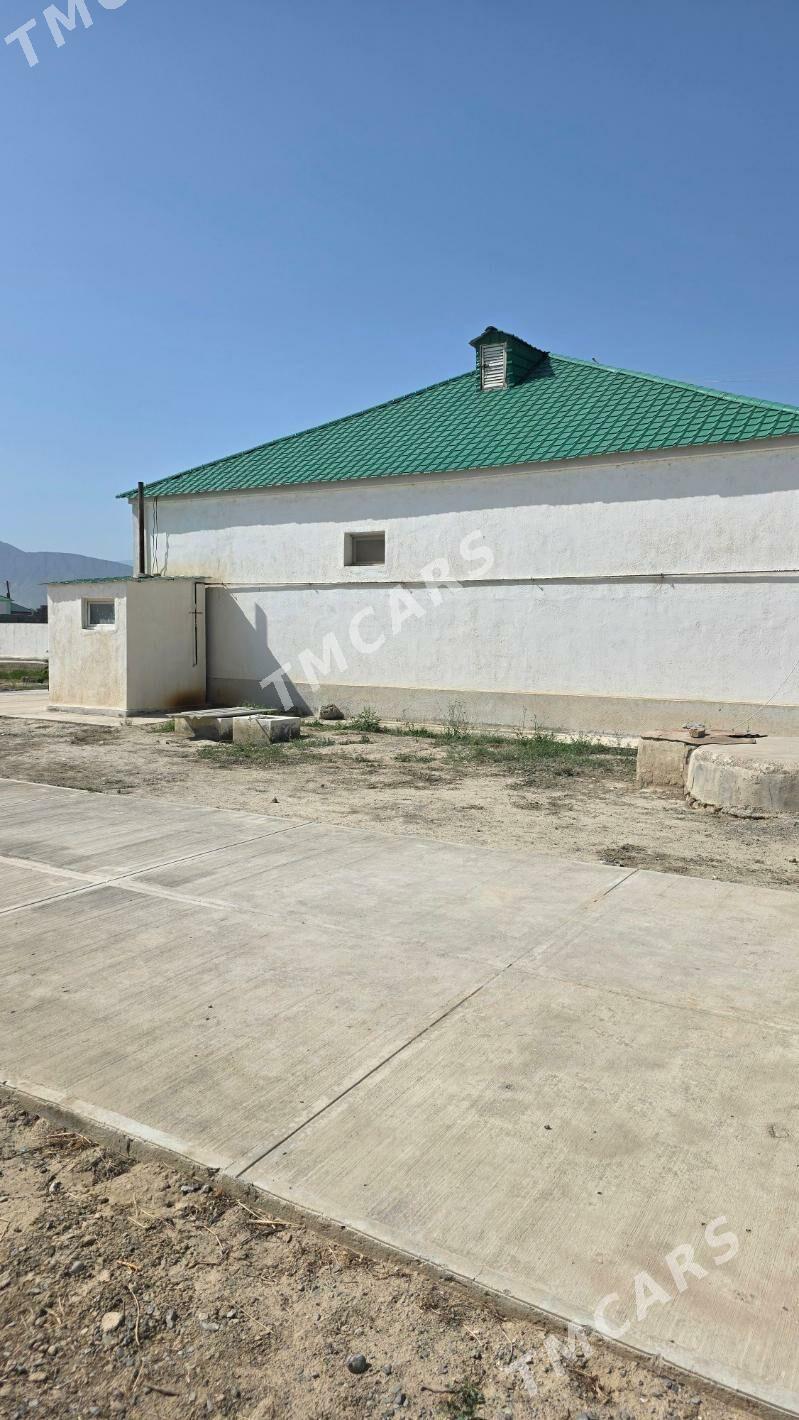 Satlyk plan jaÿ Gökdepe Nowata - Гёкдепе - img 3