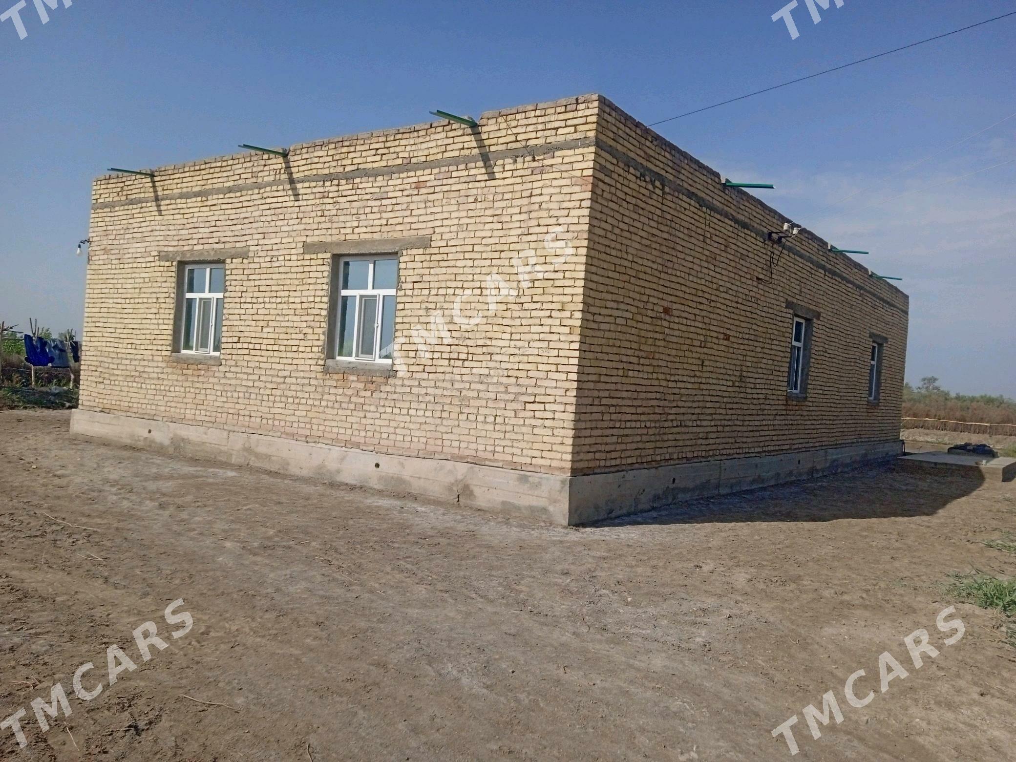 Satlyk Jay yalkym geneşlgi - Türkmenbaşy etr. - img 4