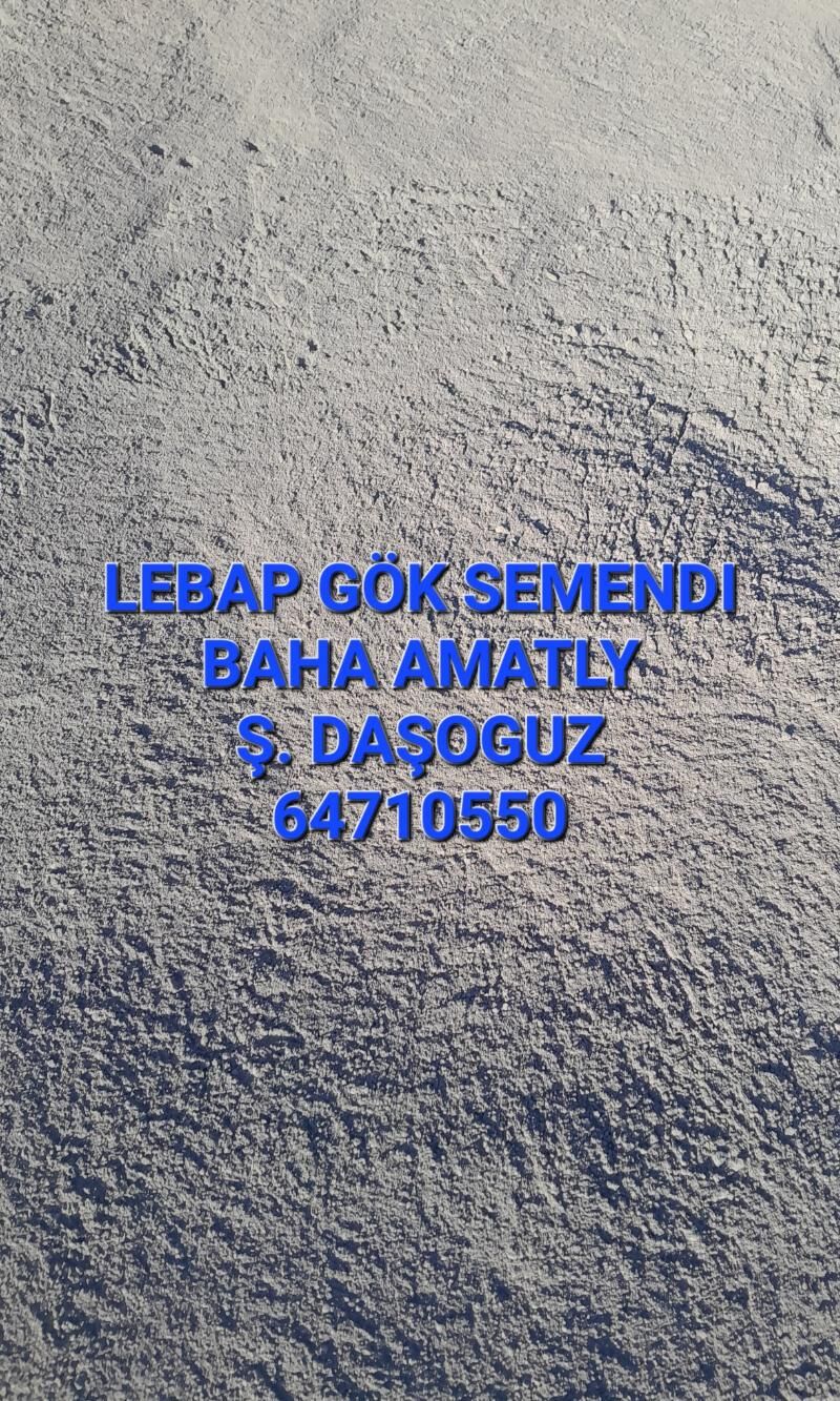 SEMENT-ŞEBEN-MYTYÝ - Daşoguz - img 6
