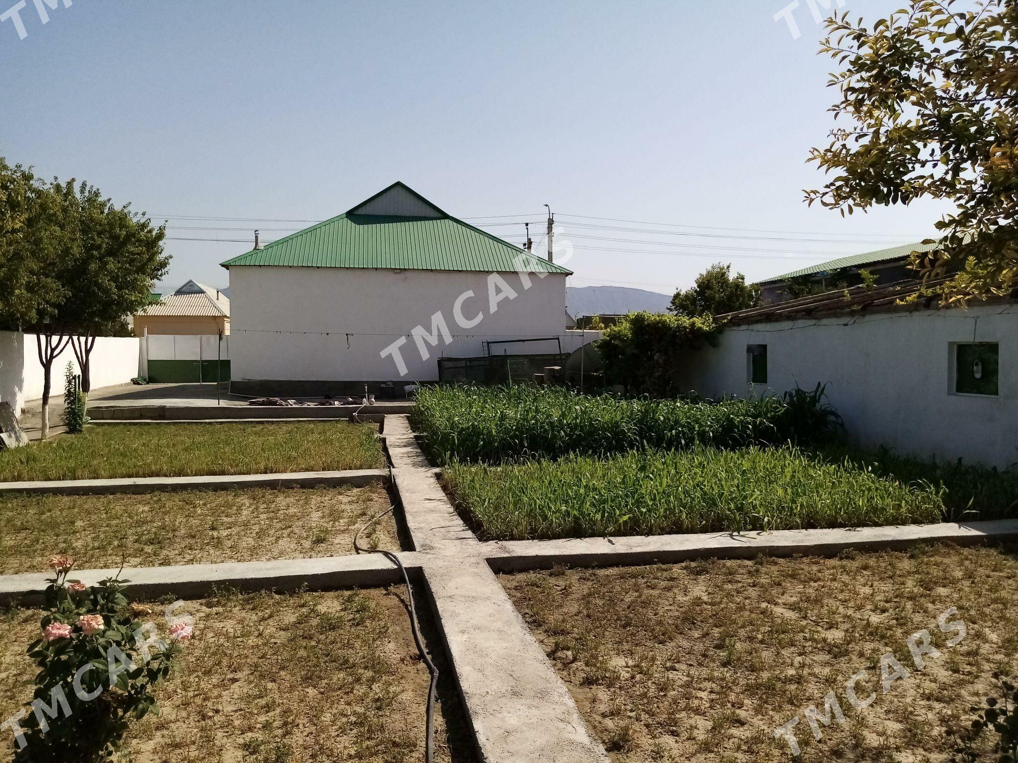 Babarap Amatly - Gökdepe - img 3